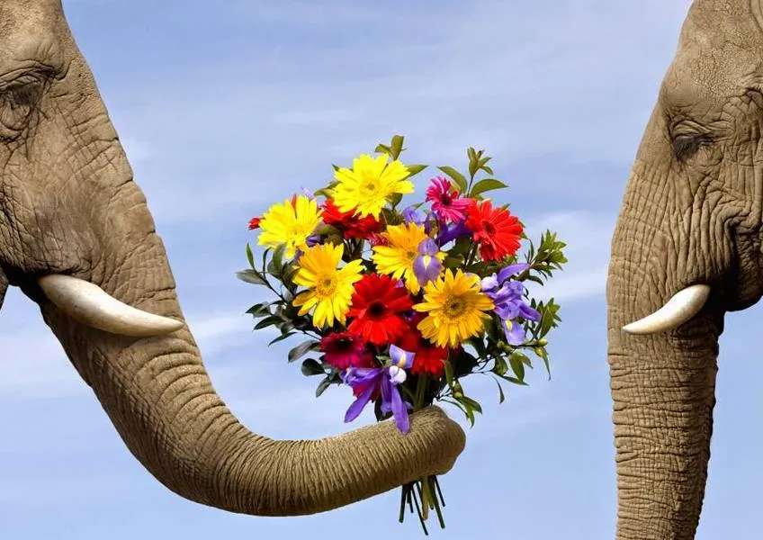 Индийский этикет – обед и гостеприимство