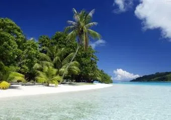 Развлечения в Гоа. Путешествие в джунгли