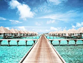 Международные выставки в Индии в 2018 году