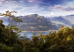 Гора Пидуруталагала