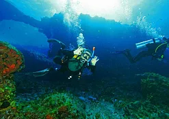 Дайвинг Фихалохи