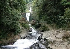 Rimba Jimbaran Bali by Ayana