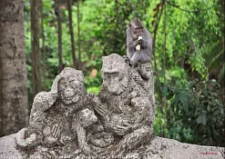 Rimba Jimbaran Bali by Ayana