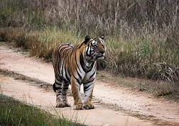 Национальный Парк Канха