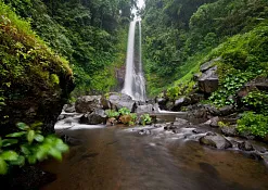 Rimba Jimbaran Bali by Ayana