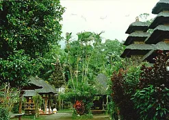 Rimba Jimbaran Bali by Ayana