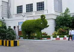 Музей Салар Джунга