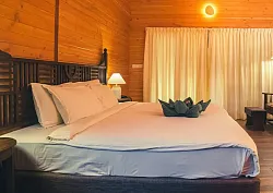 Wooden premium villas