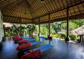 Один тестовый день комплексной аюрведы