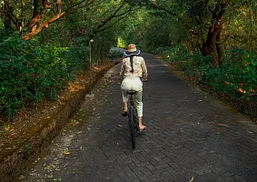 Треккинг и прогулки Треккинг и прогулки