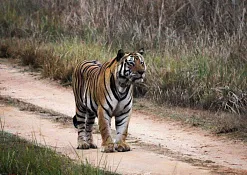 Национальный Парк Канха