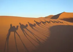 Древними дорогами Индии