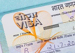На какой срок можно сделать визу в Индию