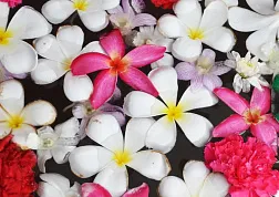 ТОП-5 живописных цветочных долин Индии