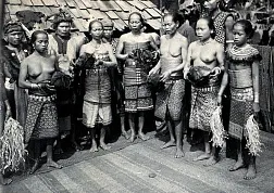 Даяки - охотники за головами