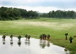 Национальный Парк Читван