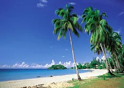 Rimba Jimbaran Bali by Ayana