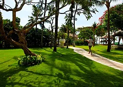 Rimba Jimbaran Bali by Ayana