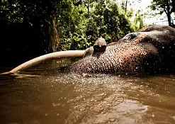 Национальный парк Уда-Валаве