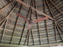 Special Kerala Hut