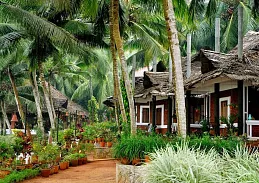 Shinshiva Ayurvedic Resort (Шиншива Резорт)