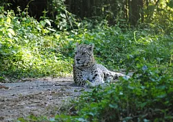 Национальный Парк Кеоладео
