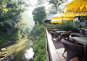 Ужин под звездами на зеленой лужайке