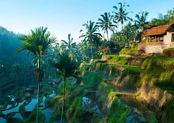 Rimba Jimbaran Bali by Ayana