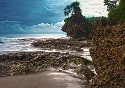 Rimba Jimbaran Bali by Ayana