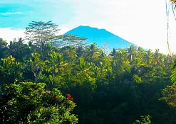 Rimba Jimbaran Bali by Ayana