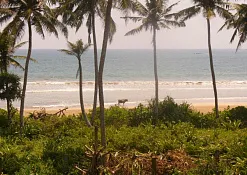 Galle Face Hotel 