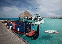 Атолл Фаафу