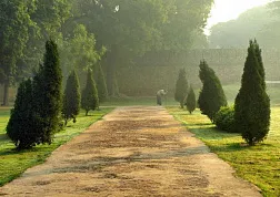 Могольский сад