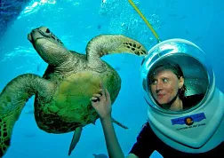 Аттракцион Sea Walker