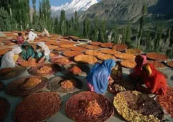 Хунза, народ который не знает болезней