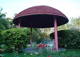 Развлечения Развлечения