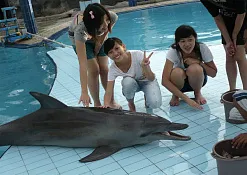 Rimba Jimbaran Bali by Ayana