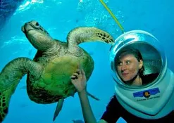 Аттракцион Sea Walker