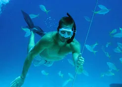 Дайвинг Club Rannalhi