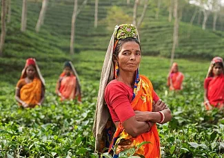 Большое Индийское Путешествие