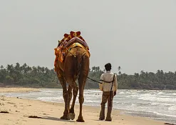 Форт Тираколь