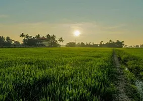 Активности и досуг