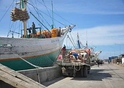 Рыбный рынок в Куте (Jimbaran Fish Market)