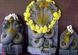 Древние легенды Индии. Наги - люди змеи