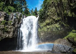 Rimba Jimbaran Bali by Ayana