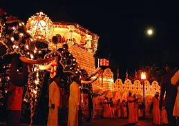 Фестиваль Перахера 