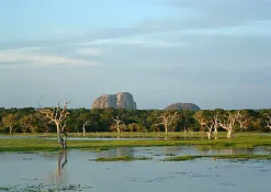 Заповедник Кумана