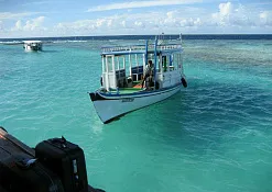 Атолл Фаафу