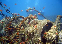 Школа дайвинга Prodivers