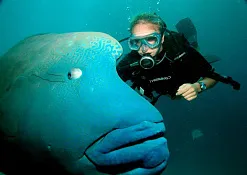 Дайвинг Taj Exotica Resort